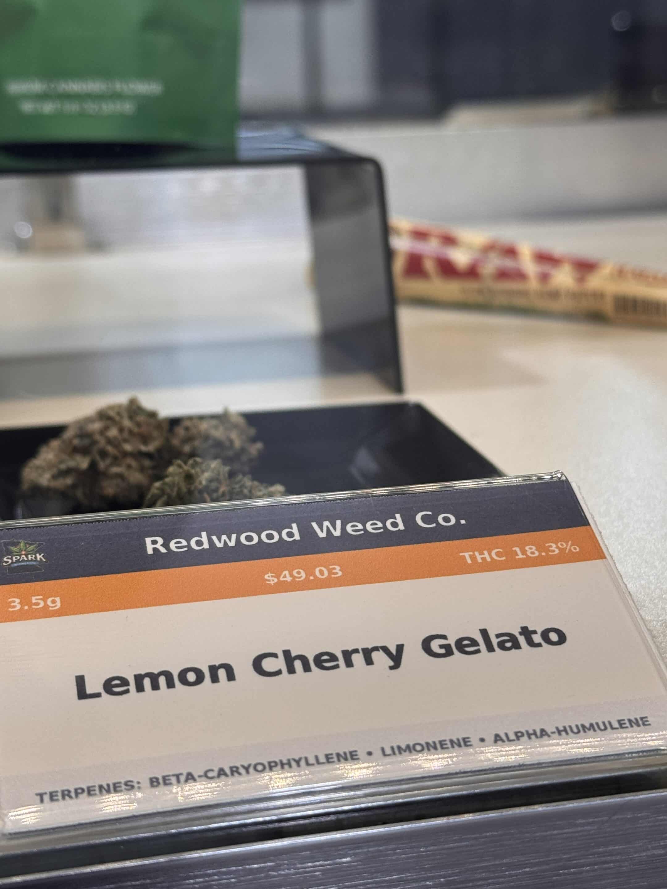 Indica vs sativa vs hybrid cannabis product information card at SPARK Minnesota